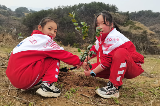 【慈利站】第一完全小学：“追锋少年”植树增绿