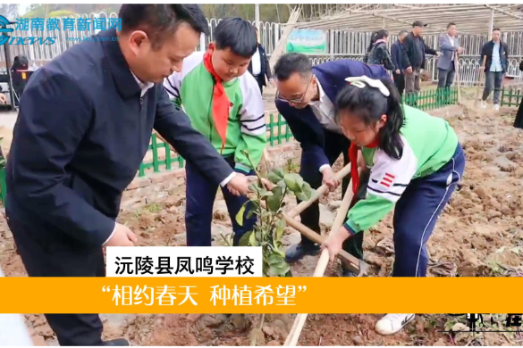 【沅陵站】沅陵县凤鸣学校举行“相约春天 种植希望”植树节活动（小记者 符婷 指导教师 胡洁  石艳）