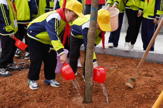 衡南县沁园小学：凝聚党建红，共植生态绿