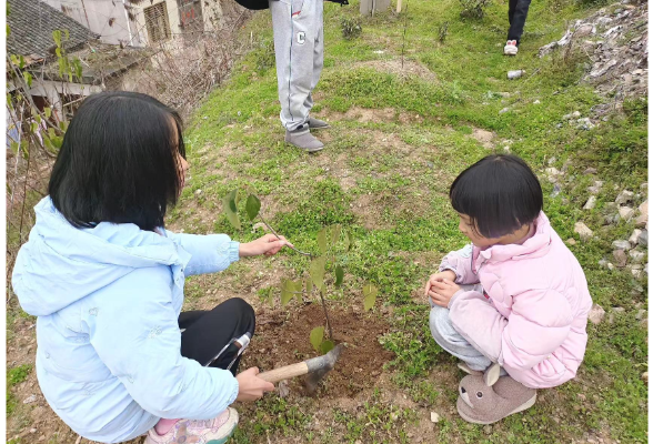 【慈利站】溪口镇中心完小：开展植树节系列活动