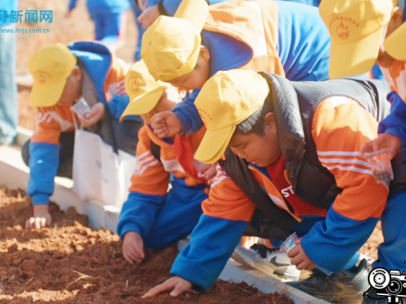 【新宁站】探秘朱鹮奇迹，解锁传统技艺，新宁县焦家垅小学开展主题研学活动（小记者 唐子睿 指导教师 龙雪萍 刘慧 ) 