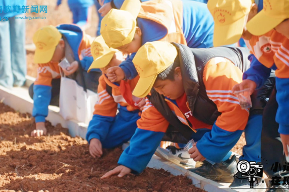 【新宁站】探秘朱鹮奇迹，解锁传统技艺，新宁县焦家垅小学开展主题研学活动（小记者 唐子睿 指导教师 龙雪萍 刘慧 ) 
