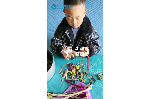 【衡东站】劳动促成长，争当小能手，衡东县新塘镇中心学校主题活动精彩开展