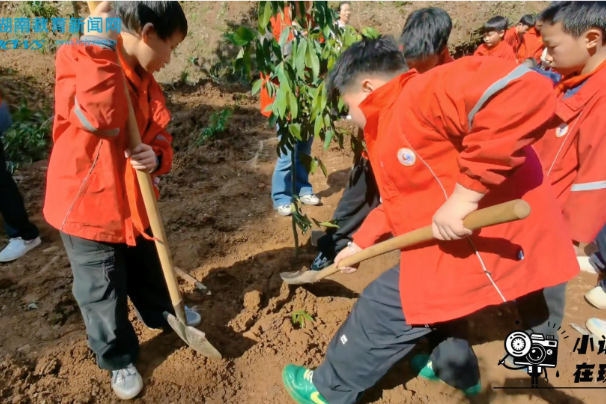 【平江站】学雷锋见行动，添新绿促健康，平江县城北学校主题实践活动精彩纷呈