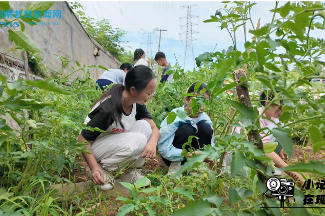 【宁乡站】巧手修枝勤劳动，实践育人促成长，宁乡市白马桥街道中心小学开展劳动实践活动