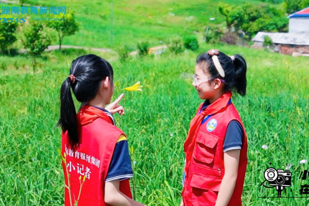 【祁东站】走近特色产业 解锁金花奥秘，祁东县石门小学黄花菜基地研学之旅精彩开启