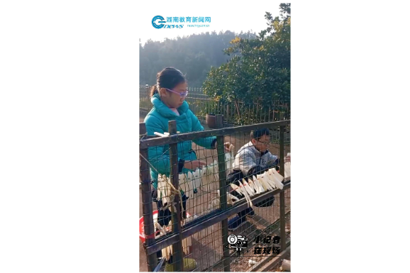 【衡东站】劳动促成长，争当小能手，衡东县新塘镇中心学校主题活动精彩开展