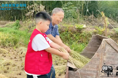 【衡东站】割稻打禾，一堂田间“支农实践课”，衡东县新塘镇中心学校以农耕实践赋能成长
