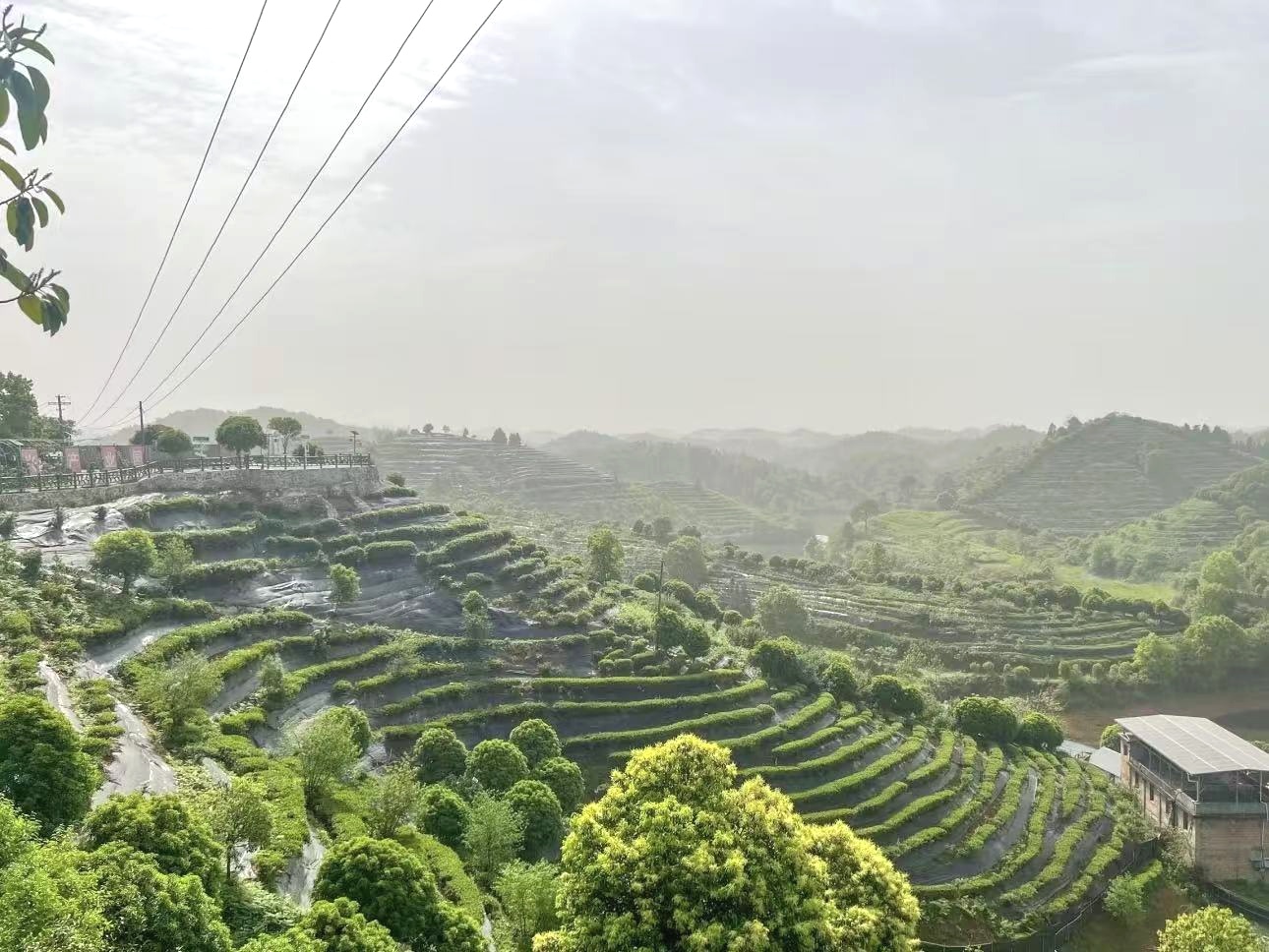 微信图片_20251017093727_2_73.jpg
