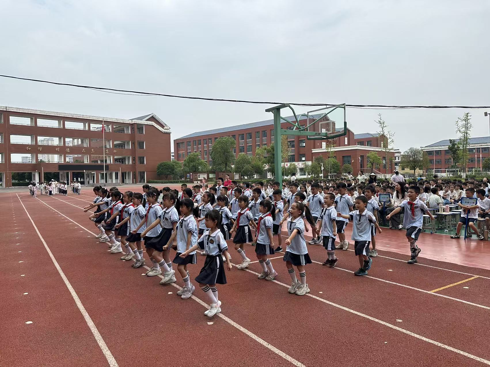 微信图片_20260618160709_250_2.jpg
