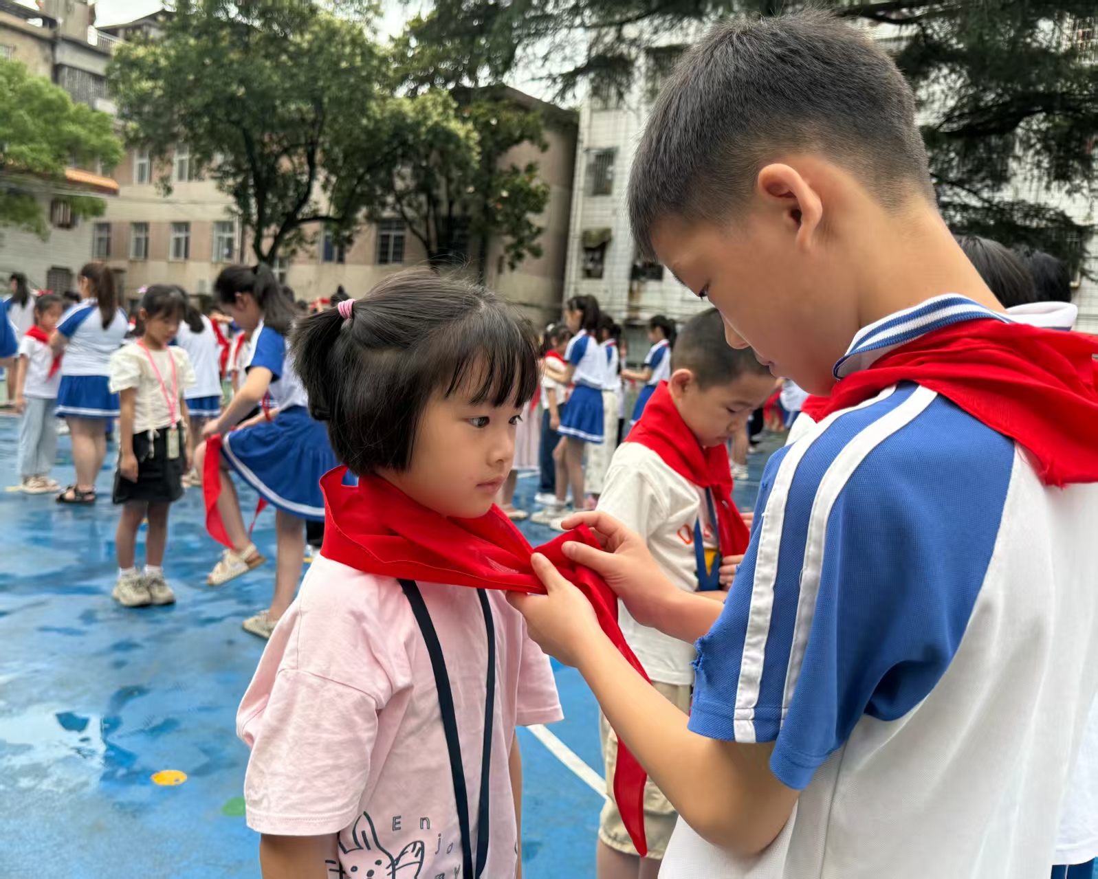 微信图片_20260605151402_227_1479.jpg