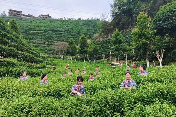 微信图片_20250710225754_副本.jpg