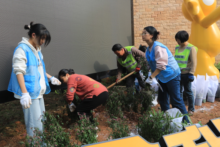 图片1.png 图片1.png