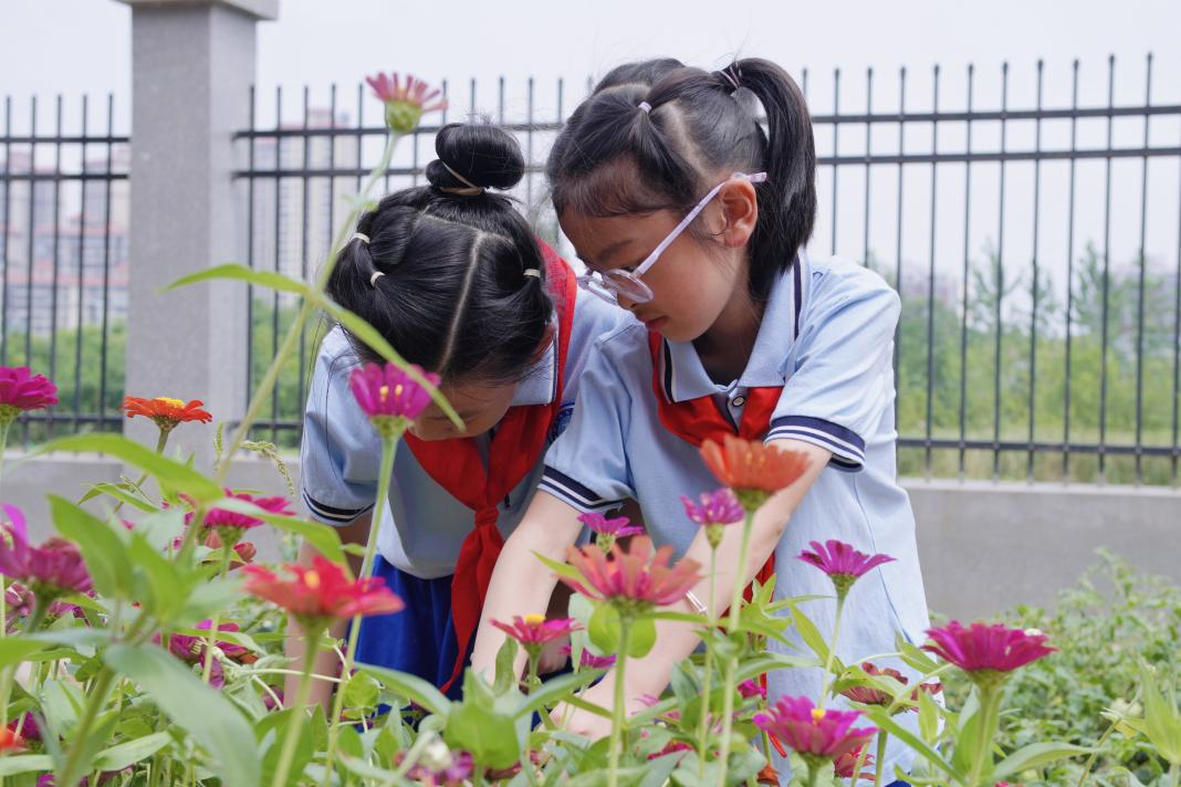 洗马湖赠花.png