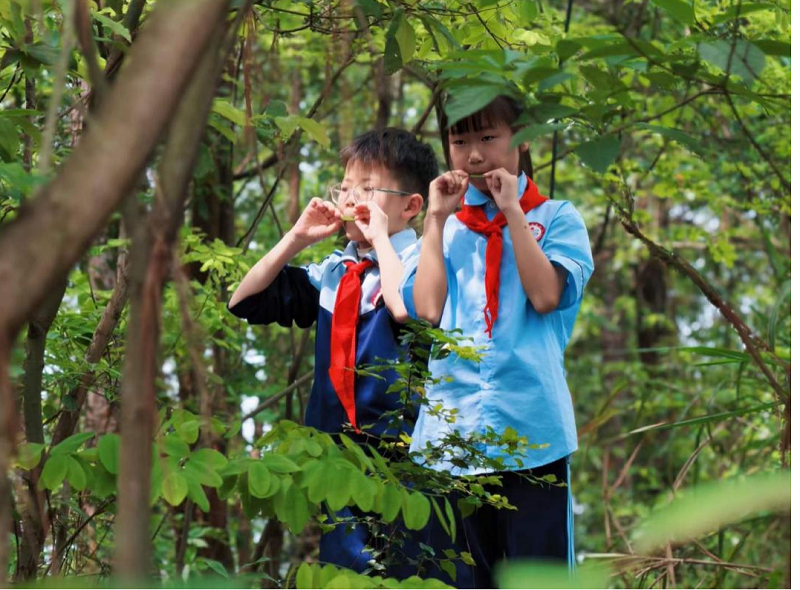 图片1(34).png