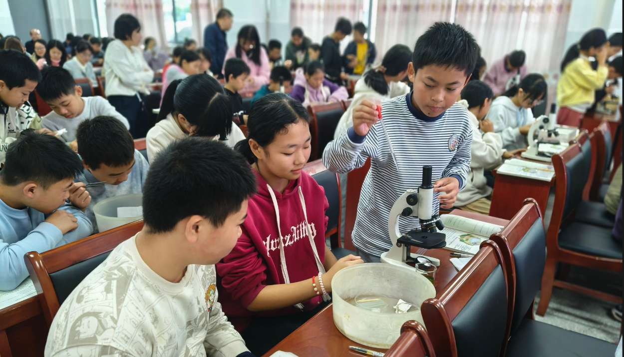 1762140365989.jpg 1762140365989.jpg