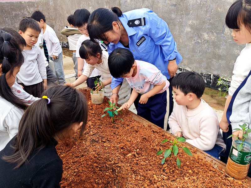 播种.jpg 播种.jpg