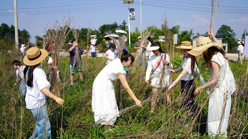 DSC02559_副本.jpg DSC02559_副本.jpg