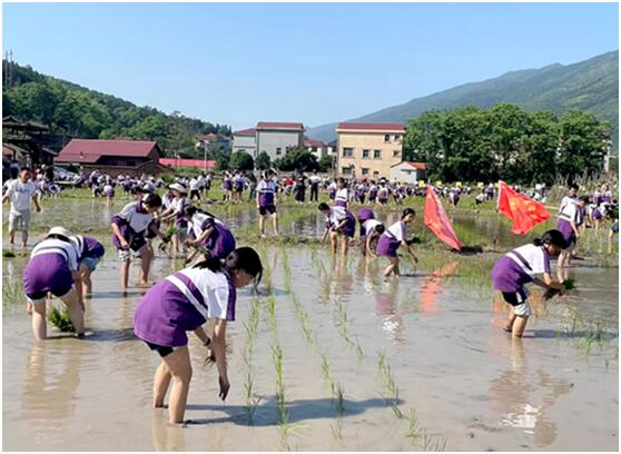 QQ图片20250520105715.jpg