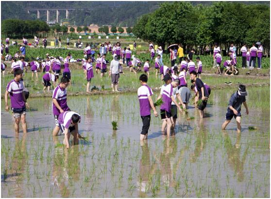 QQ图片20250520105824.jpg
