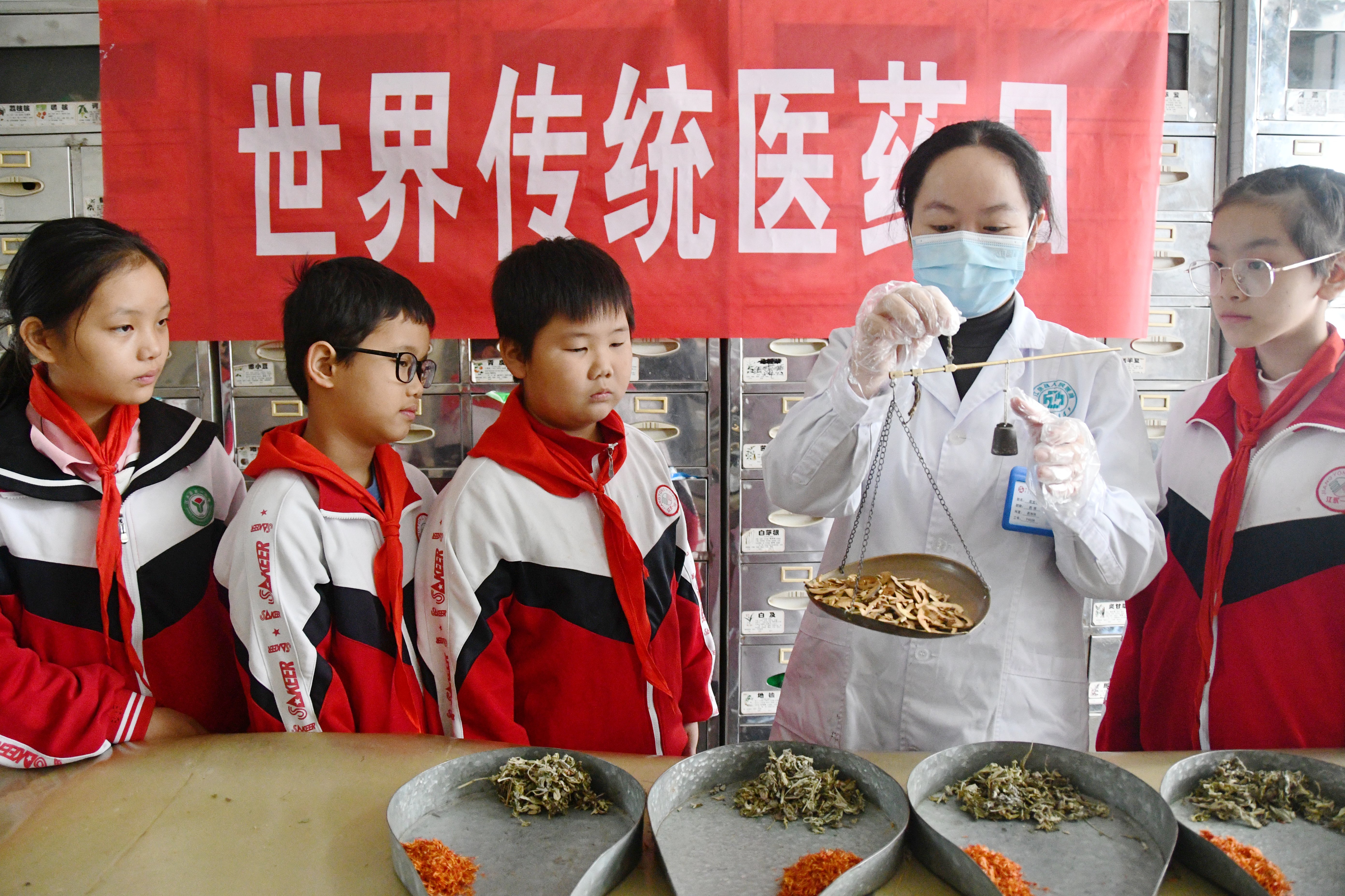 10月22日，湖南省永州市江永县中医医院中药师在药房向江永县第一小学学生介绍中草药称重方法。田如瑞摄.JPG
