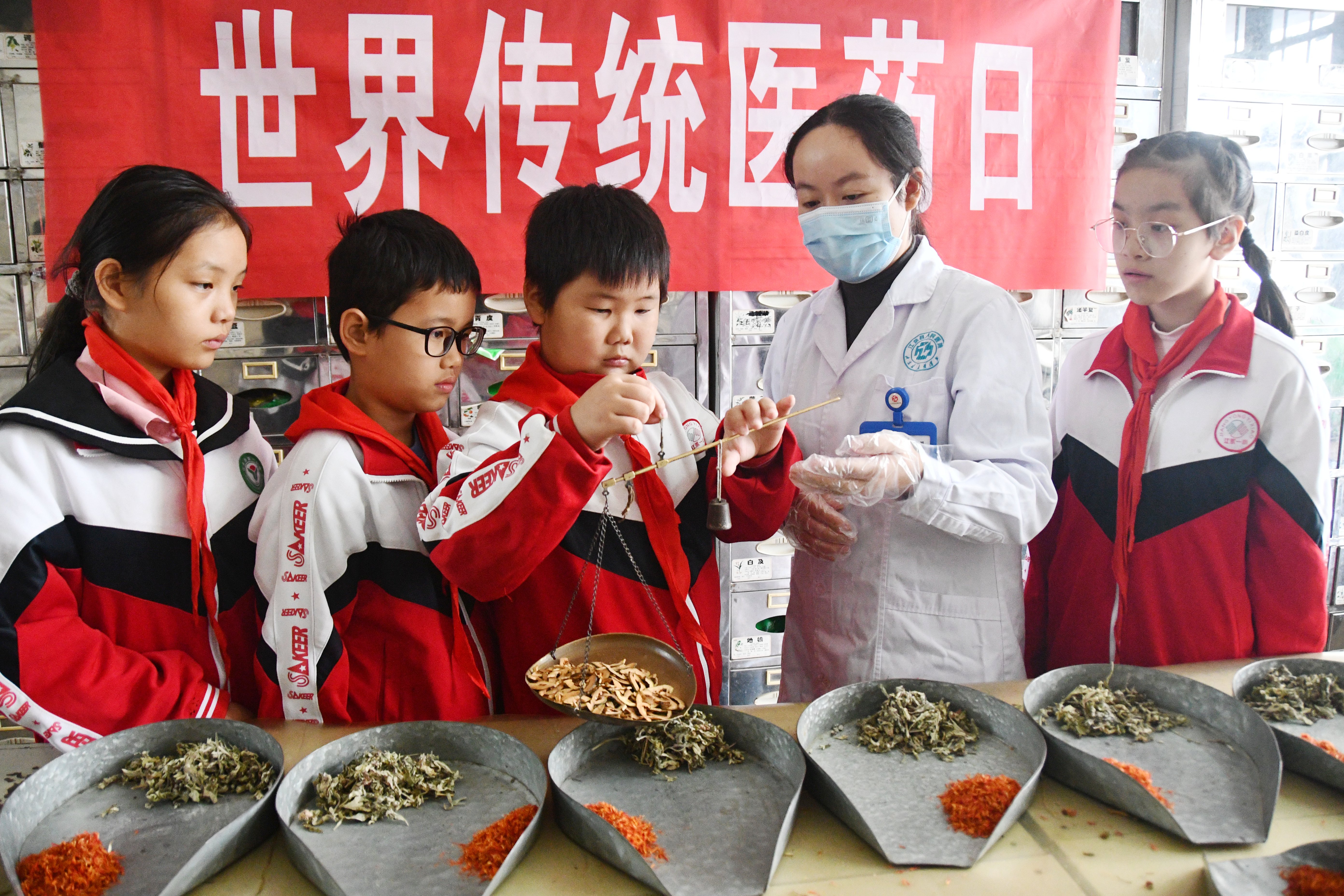 10月22日，湖南省永州市江永县第一小学学生在县中医医院中药房体验称量中草药。田如瑞摄 (1).JPG