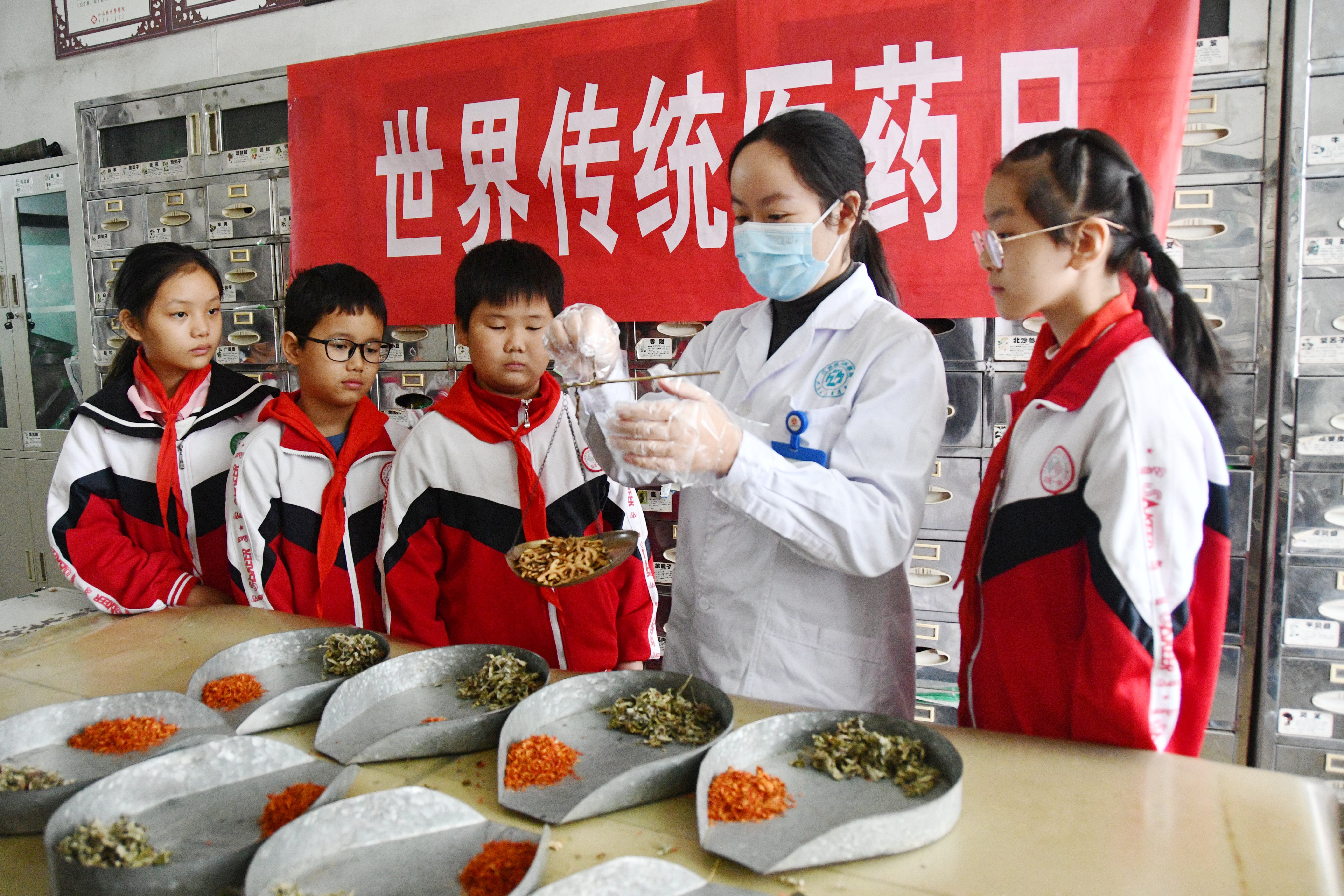 10月22日，湖南省永州市江永县中医医院中药师在药房向江永县第一小学学生介绍中草药称重方法。田如瑞摄 (1).JPG