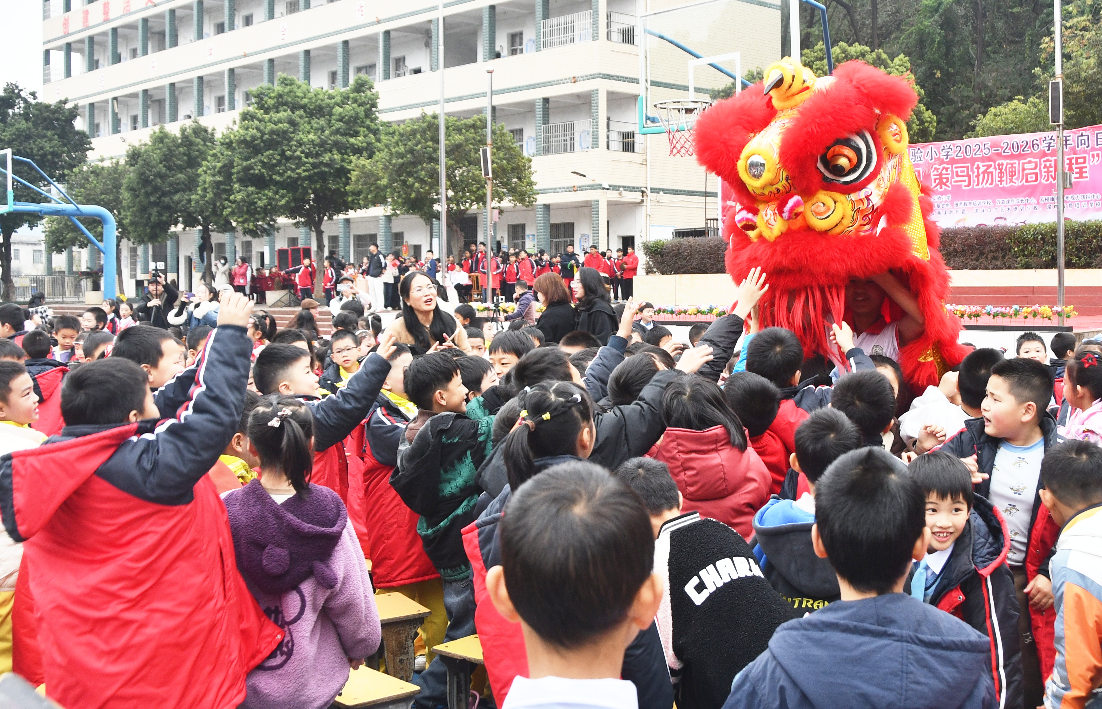 12月30日，在湖南省永州市江永县实验小学，学生在表演舞狮，迎接新年到来。田如瑞摄 (1).JPG