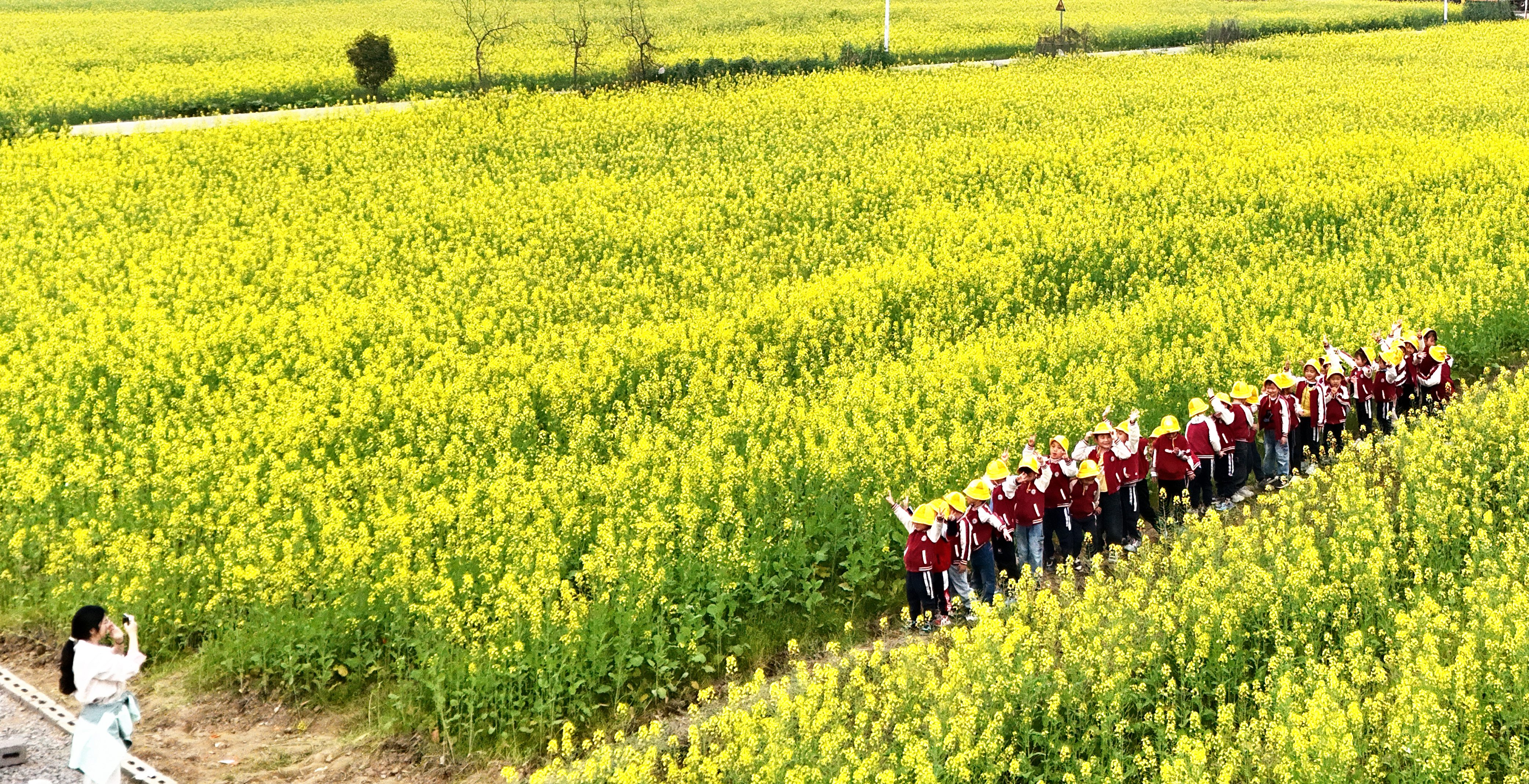 3月17日，湖南省永州市江永县中心幼儿园老师带领小朋友观赏油菜花。田如瑞摄 (7).JPG