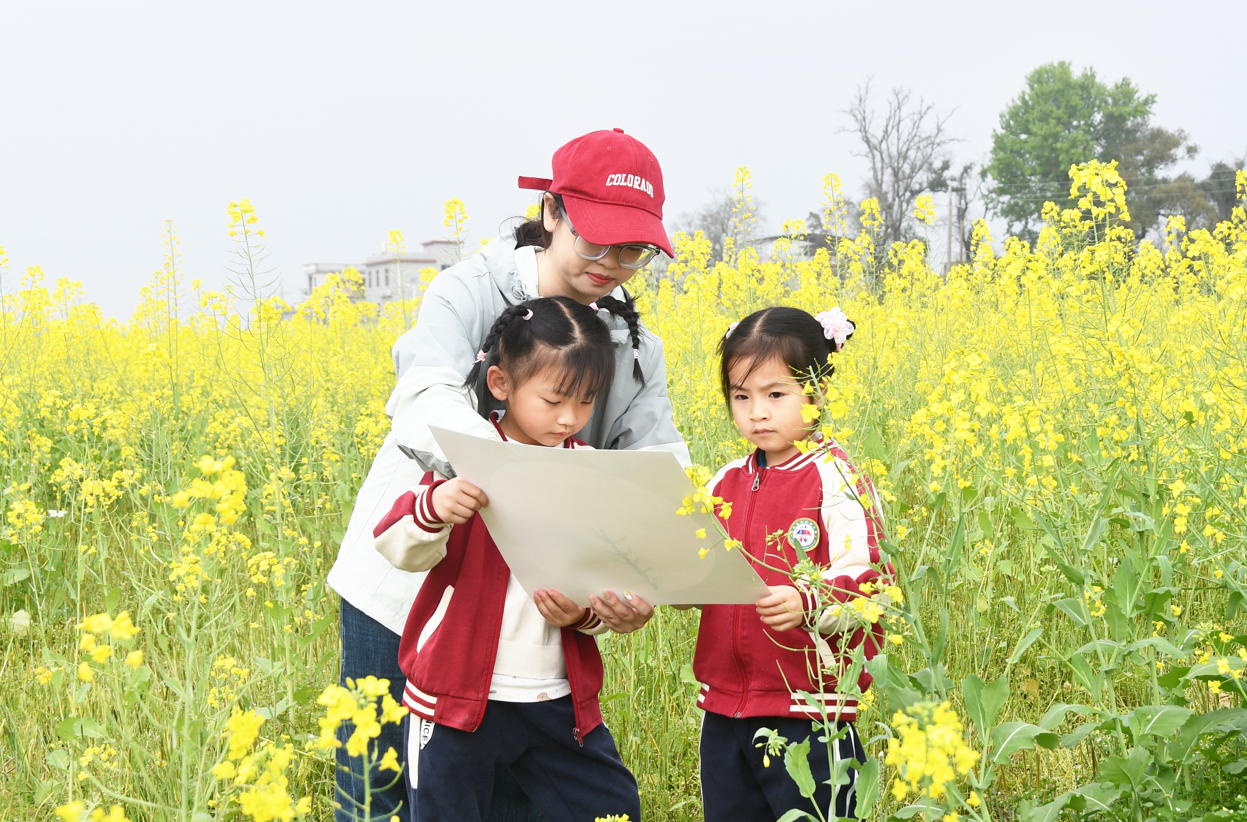 3月17日，湖南省永州市江永县中心幼儿园小朋友和老师在油菜花海写生。田如瑞摄2.JPG