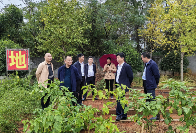 衡东县红桥学校：学农基地获好评