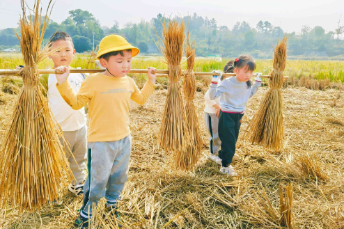 湘潭市雨湖区：鹤岭镇幼儿园举办稻田艺术节