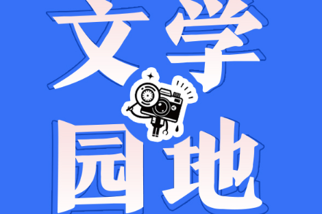 【衡南县站】寒冬绝色