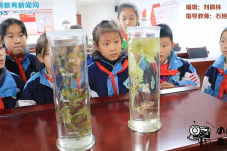 【沅陵站】凤鸣学校：凤鸣学子山中行，药香幽悠伴学程（小记者 文智鹏 指导教师 石艳 张宇靓）