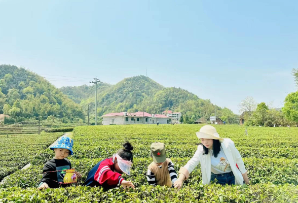 彭丽：有“劲”的教育弄潮儿