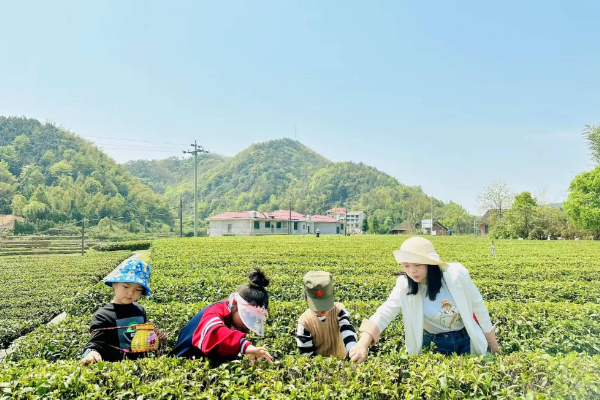 彭丽：有“劲”的教育弄潮儿