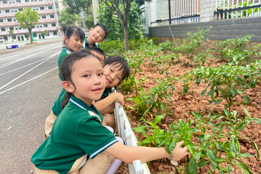 【耒阳站】五里牌小学：幼小相约，礼遇成长