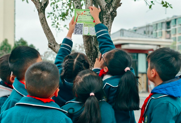 AI解锁树密码，衡阳市石鼓区江霞小学打造