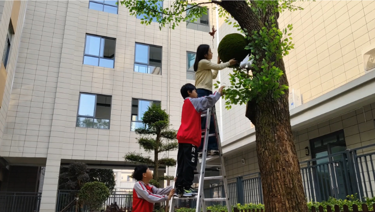 生命之美！长沙天心区仰天湖赤岭小学师生将枯树变成艺术作品