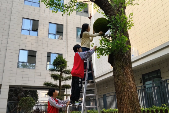 生命之美！长沙天心区仰天湖赤岭小学师生将枯树变成艺术作品