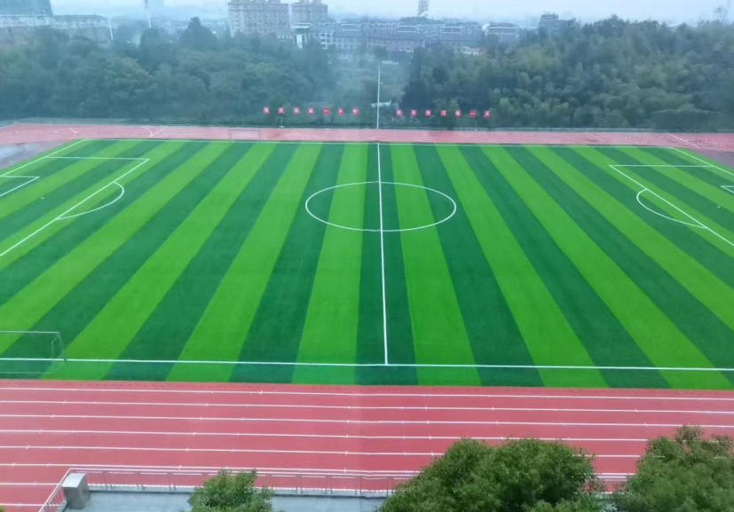 照片1.jpg