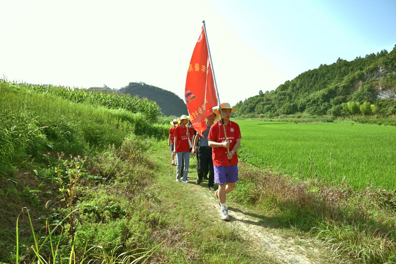 图片 1.png