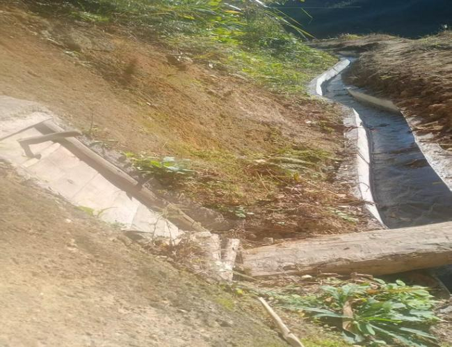 图片3.png 图片3.png