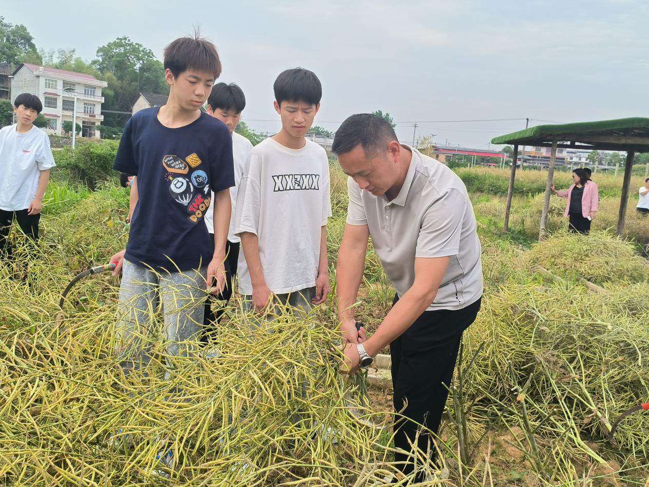 图片2.png 图片2.png