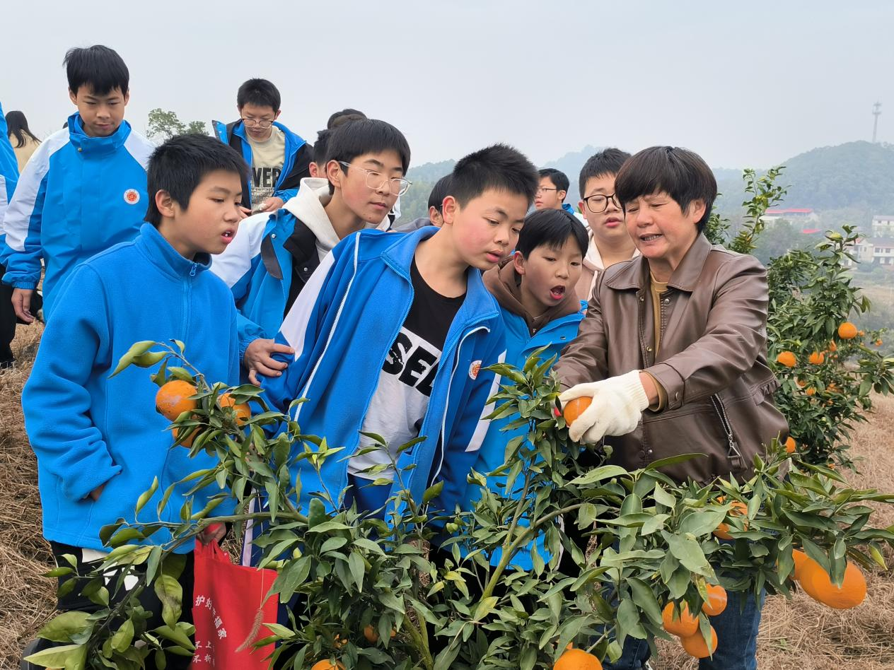 图片8.png 图片8.png