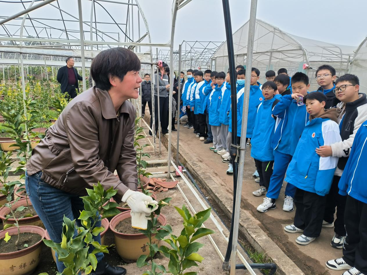 图片3.png 图片3.png