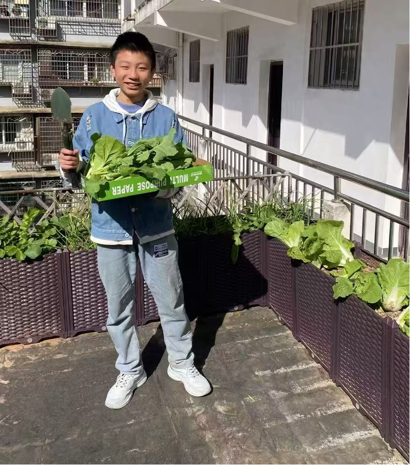 图片6.png 图片6.png