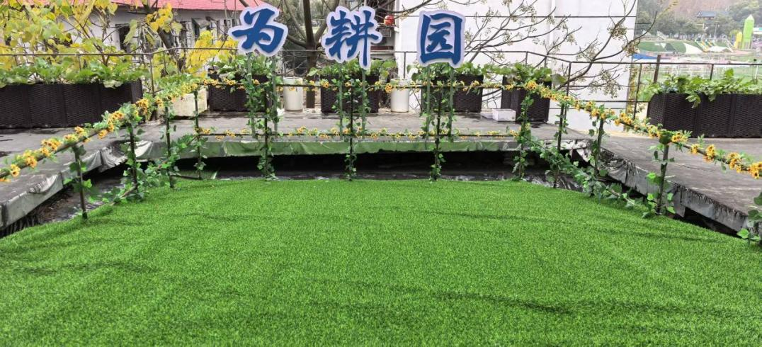 图片1.png 图片1.png