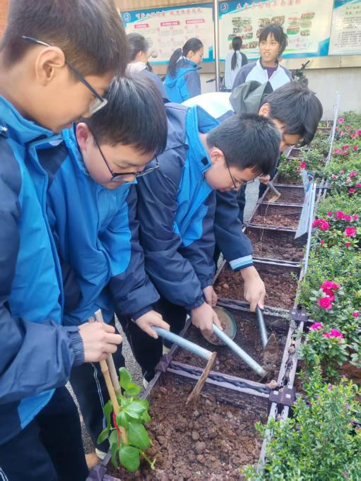 图片4.png 图片4.png