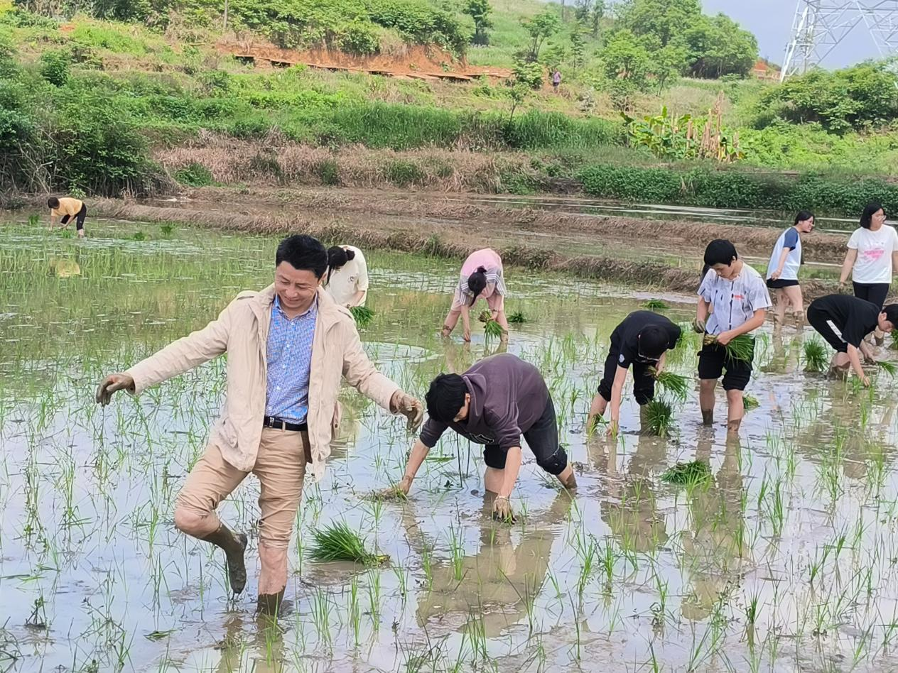 图片5.png 图片5.png